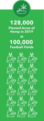 128,000 Acres of Hemp Planted in the US in 2019 Equivalent to 100,000 Football Fields
