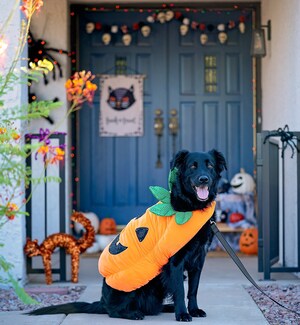 PetSmart® égaie les célébrations de l'Halloween avec de nouveaux costumes, jouets et friandises pour animaux de compagnie