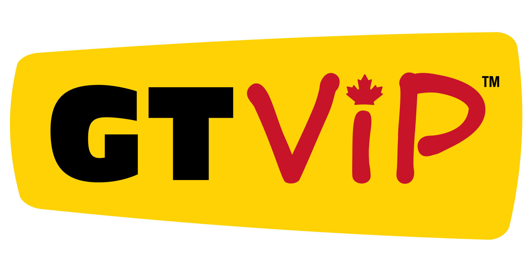 Gt Vip Giant Tiger Launches First Ever Loyalty Program