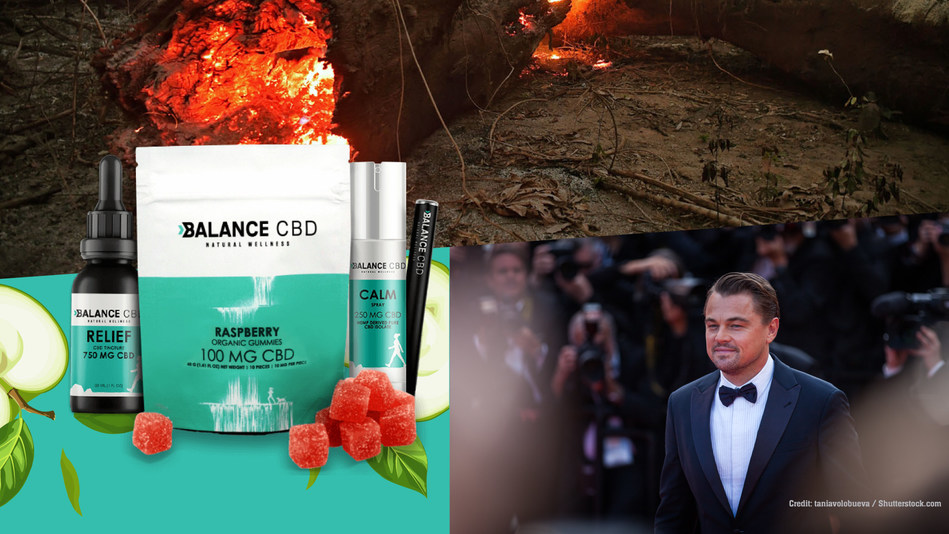 Balance CBD Teams up with Leonardo DiCaprio’s Earth Alliance Amazon Forest Fund to help the rainforest by donating all profits of its best selling products for the entire month of September. We challenge all other cannabis related companies to help our rain forests. Photo Credits: taniavolobueva/shutterstock.com