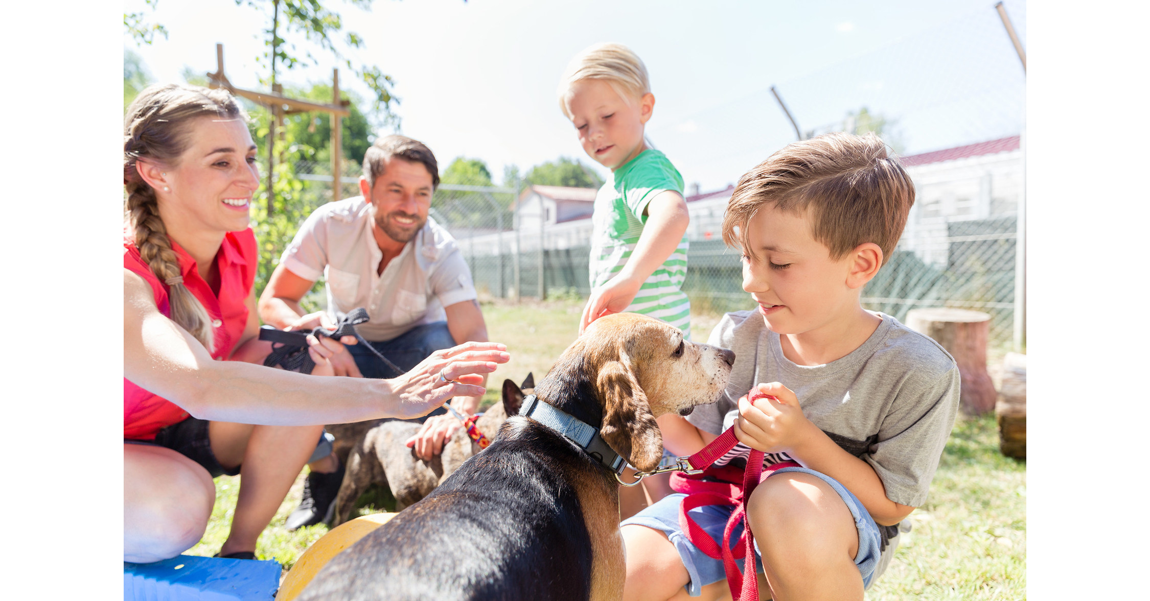 3-ways-pet-adoption-can-be-a-win-for-all