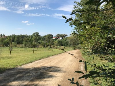 Conservation Trail leading to ArborLinks.