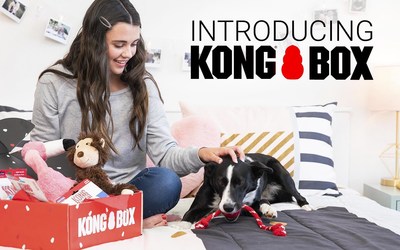 kong dog box