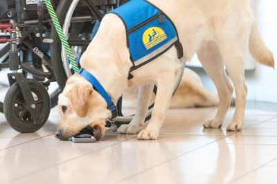 Canine Companions assistance dogs learn over 40 commands to help with physical tasks. Canine Companions assistance dogs learn over 40 commands to help with physical tasks.