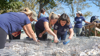 Diageo NA employees working with the Billion Oyster Project on Governors Island.