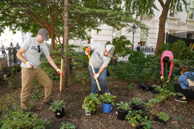 Employee volunteers working to beautify City Hall Park, with Partnerships for Parks.