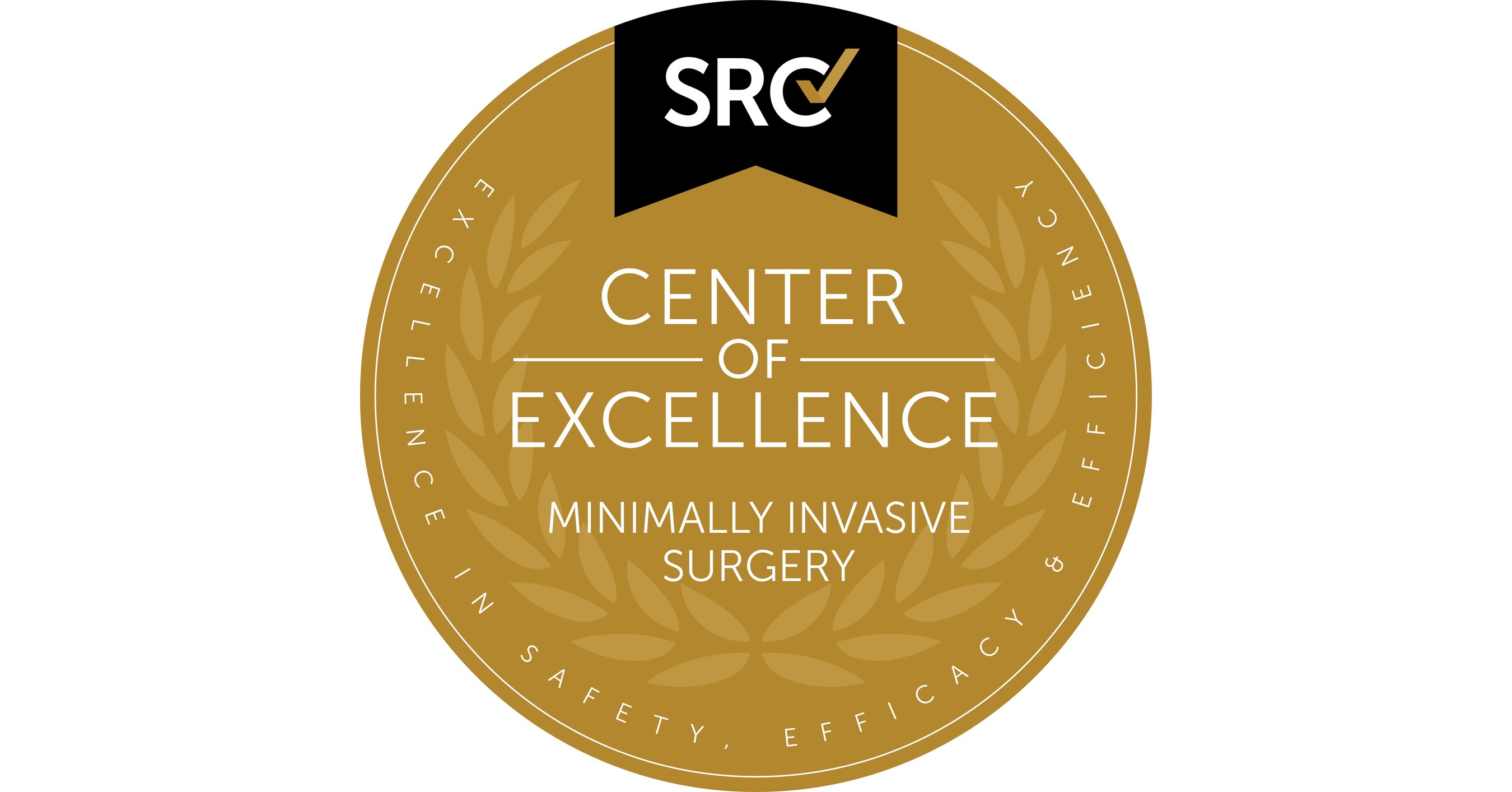 Fitzmaurice Hand Institute the First Surgical Facility