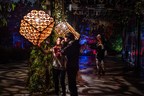 Magical Exhibition Illuminates NCSU Arboretum for 7 Nights in November