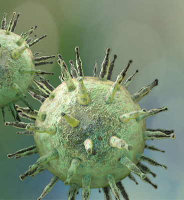 Early recognition of Epstein-Barr virus infection is important for timely therapy and improving long-term outcomes in transplant patients.